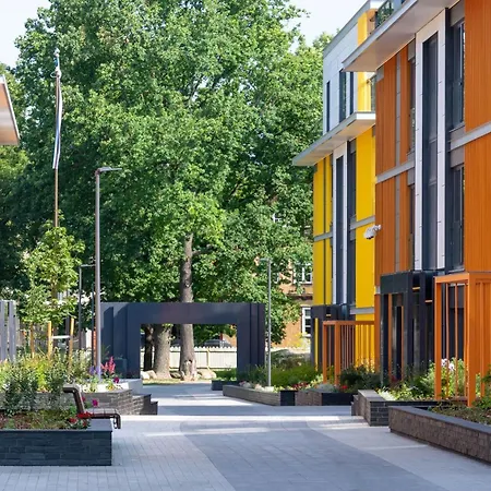 Kotzebue - Sleek&moody, Dark Green&black * Tallinn