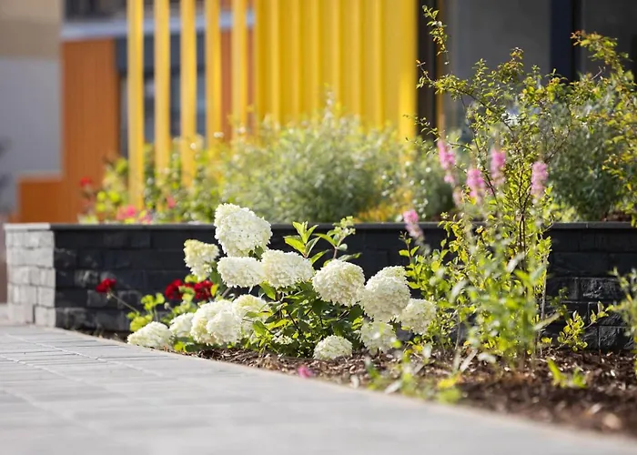 Kotzebue - Sleek&moody, Dark Green&black *