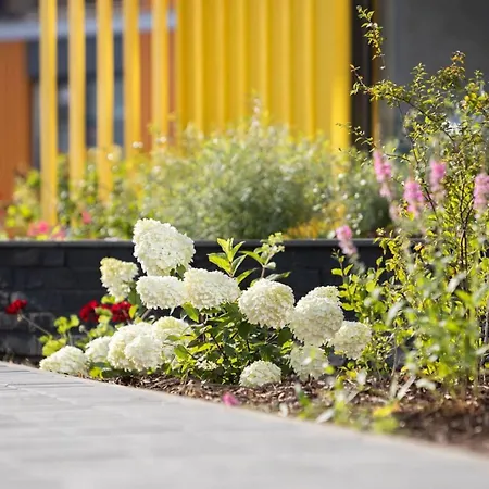 Kotzebue - Sleek & Moody, Dark & Black *